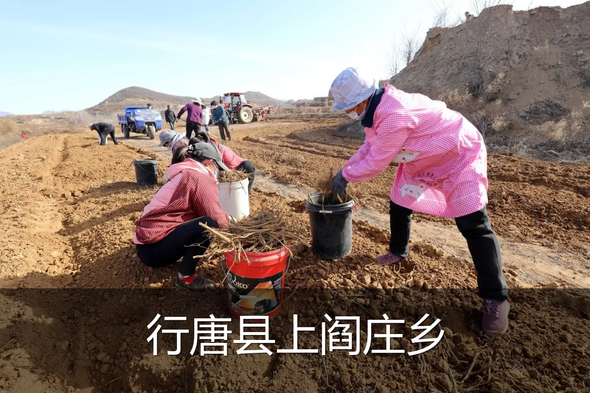 行唐县上阎庄乡