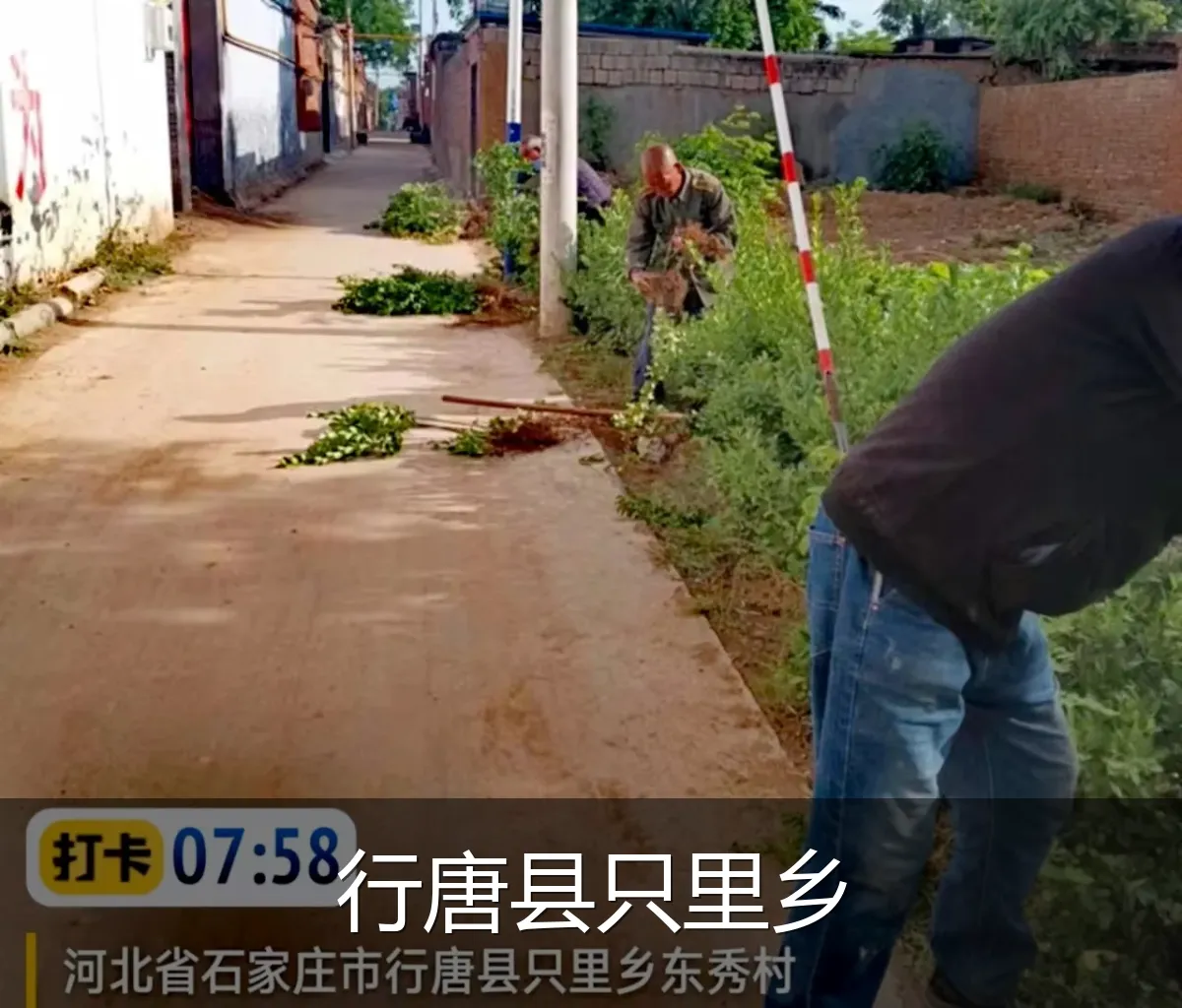 行唐县只里乡